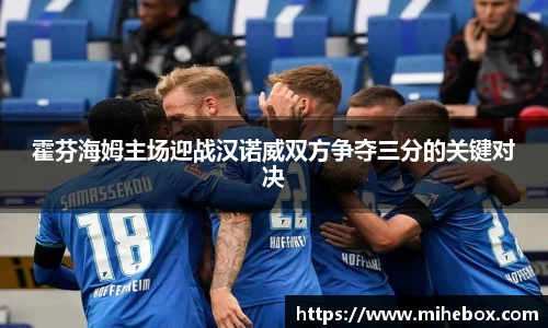 霍芬海姆主场迎战汉诺威双方争夺三分的关键对决